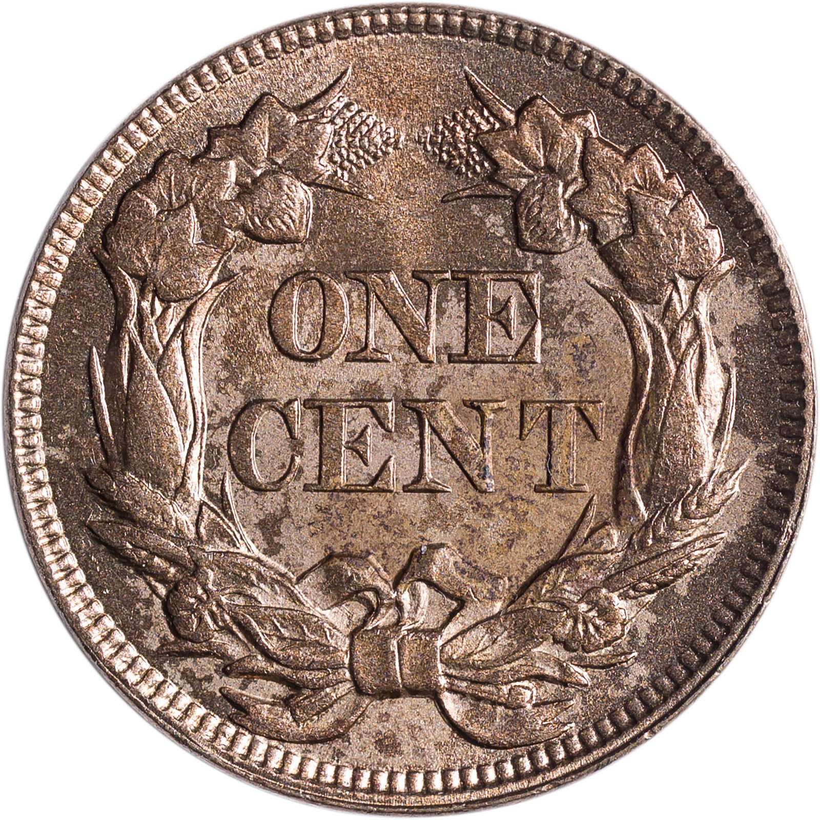 UNC Details 1857 Flying Eagle Cent - 2