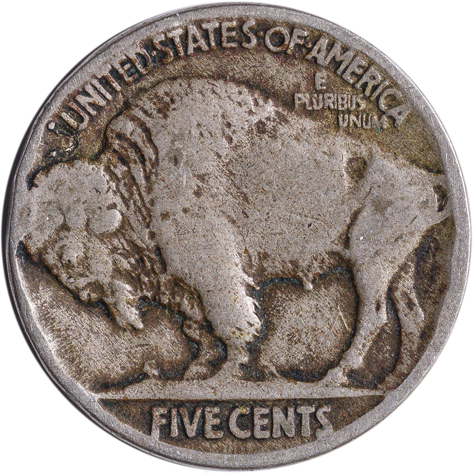 Hobo Nickel. Undated Buffalo Nickel Host - 2