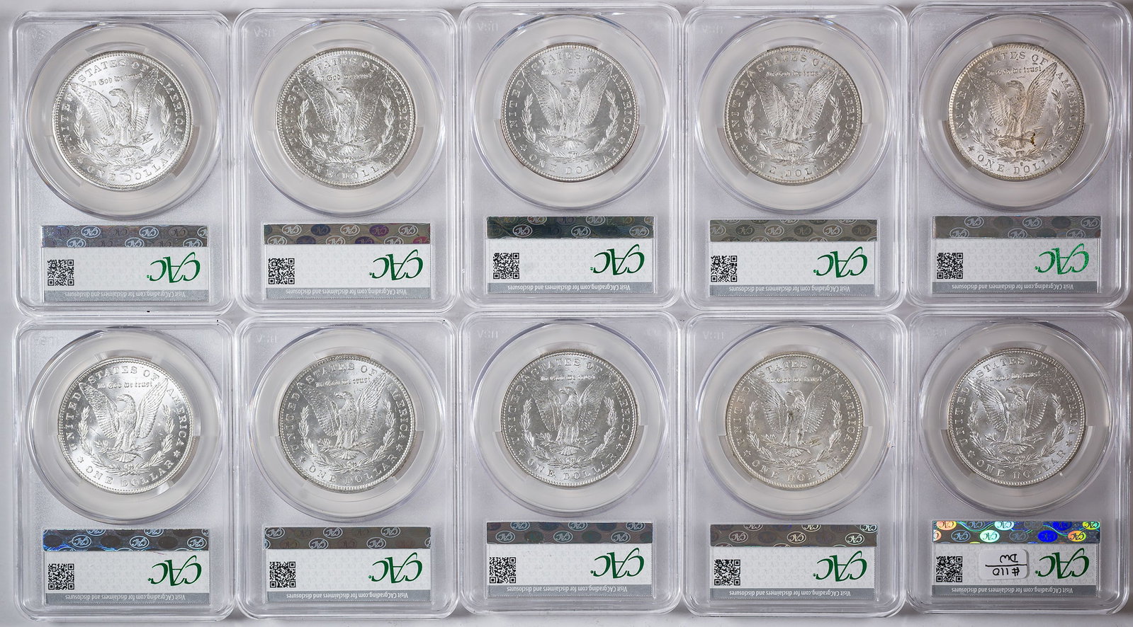 CACG Group of 10 Different Morgan Dollars - 2