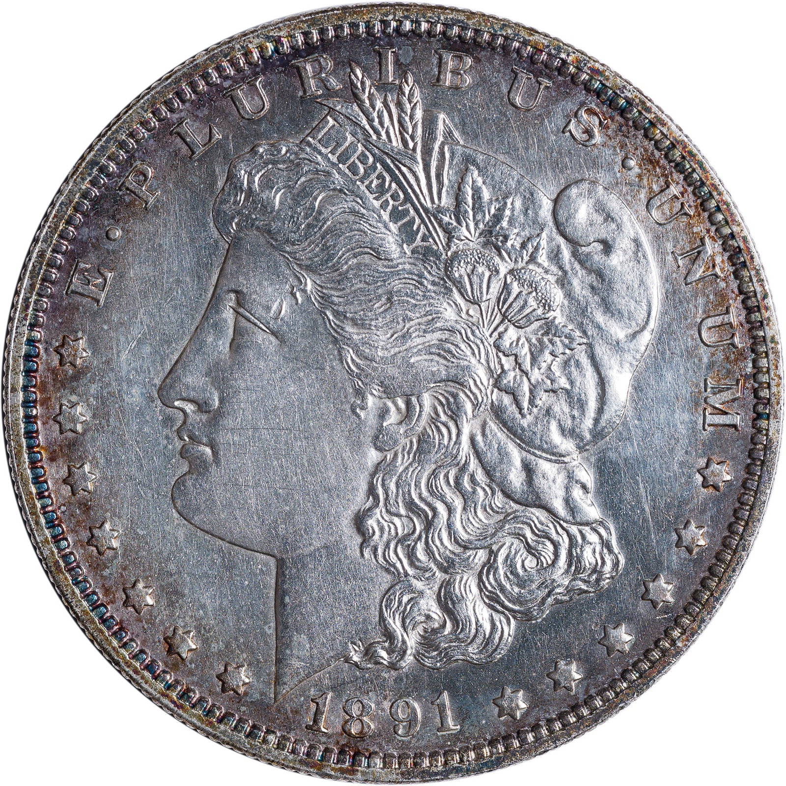 Proof-60 Details 1891 Morgan Dollar (1 of 2)