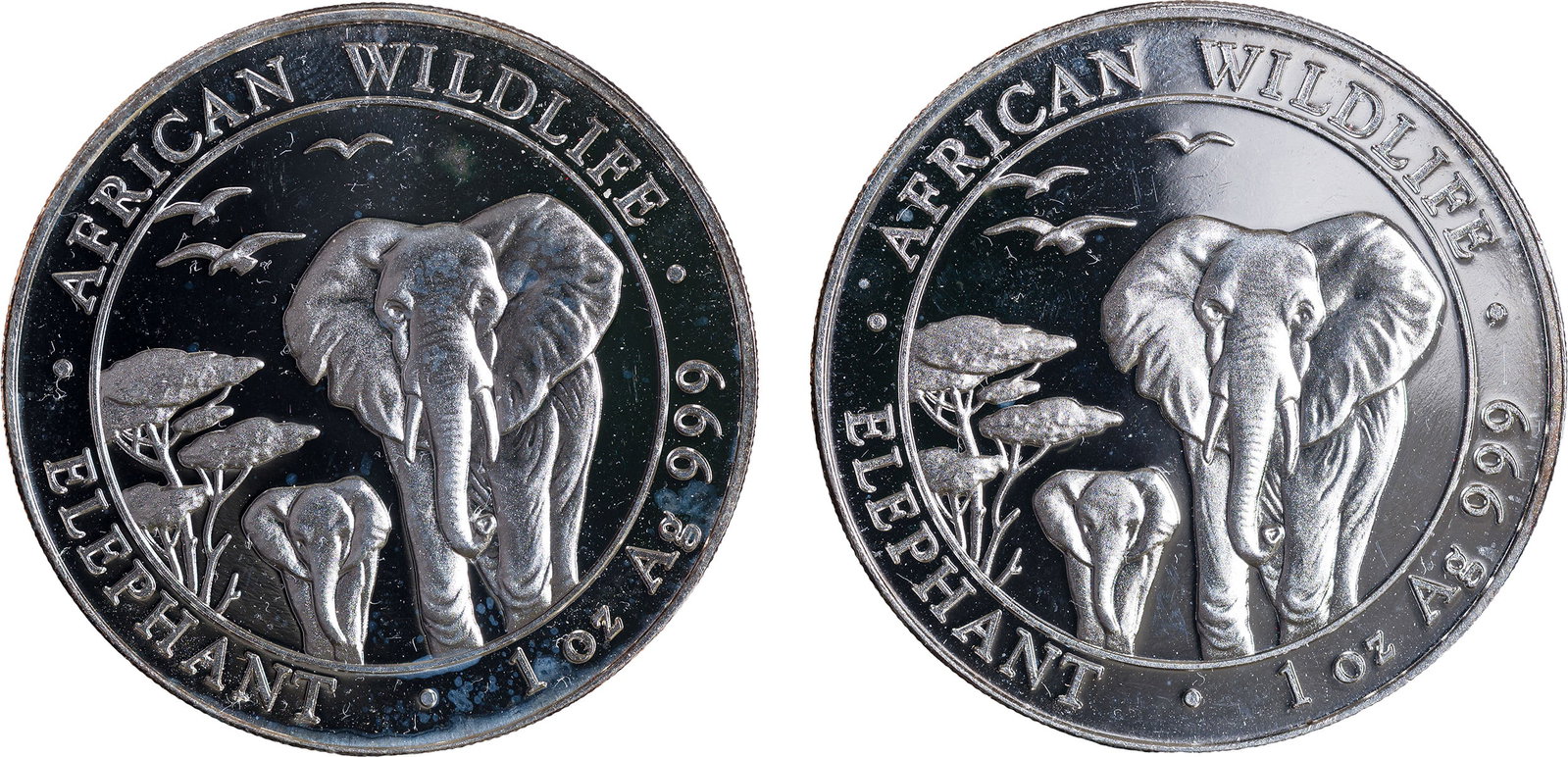 Somalia. 2 Pcs 2015 Proof 1 Oz Silver Elephants: Each is in gem condition and has a face value of 100 Shillings. (Total: 2 pcs)