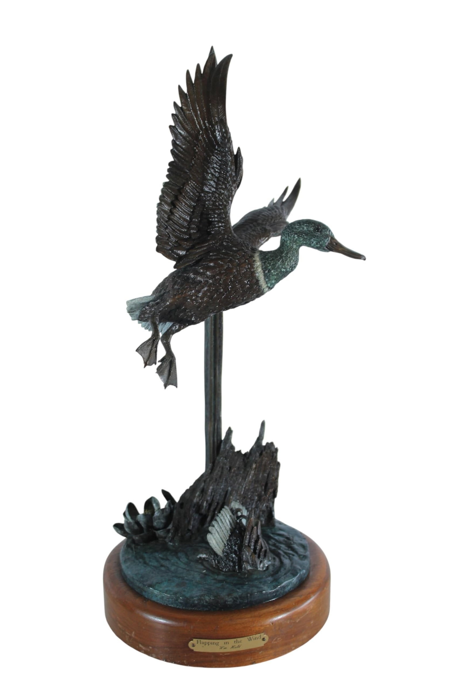 Bronze Duck Flapping in the Wind by William Hald on Wood Base 16"x12"x31"H: Bronze sculpture of a duck taking flight titled Flapping in the Wind, signed by William Hald. Cast in the lost wax method and mounted on a wood base. Hald is an American wildlife sculptor known for de