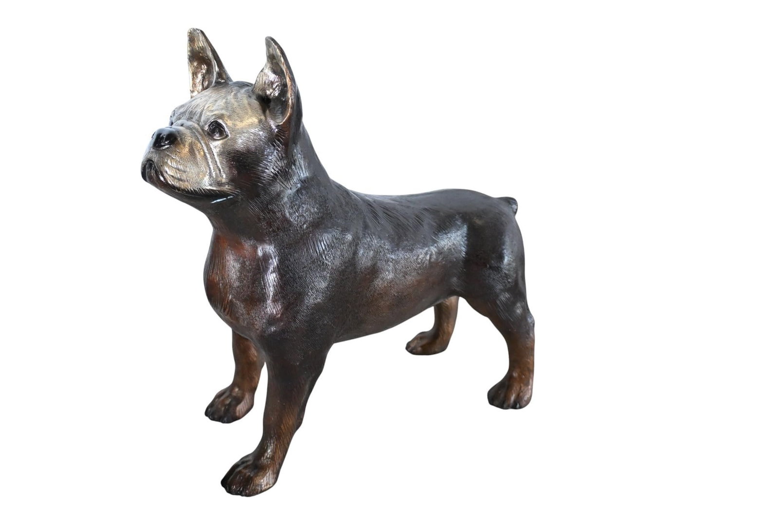 French Bulldog Bronze Statue Dog Figurine Sculpture 9"x20"x18"H: Charming bronze French Bulldog sculpture in alert standing pose. Crafted using traditional lost wax method with rich dark patina and warm brown accents on legs and face. Exceptional detail captures ch