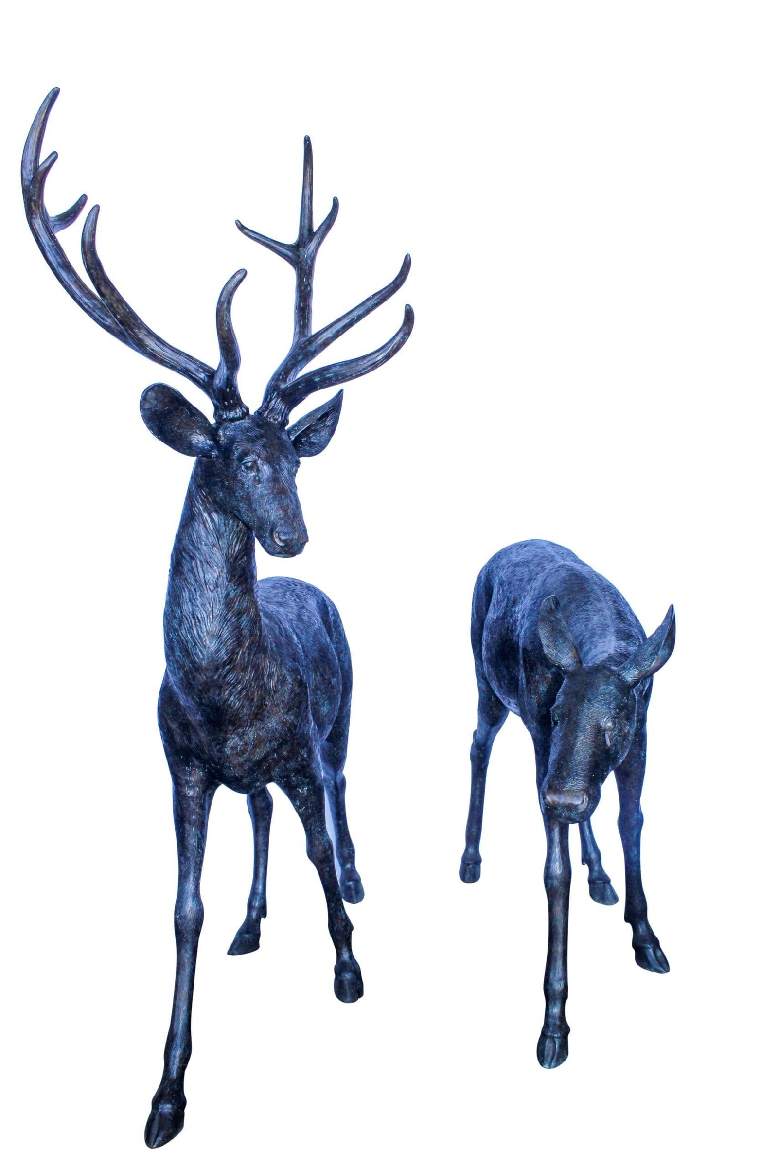 Life Size Bronze Statues of a Pair of Deer, Wildlife Display 53" x 17" x 72"H: Bring the majesty of nature into your surroundings with these life-size bronze statues of a pair of deer. Handcrafted using the traditional lost wax method, each detail is meticulously captured to sho