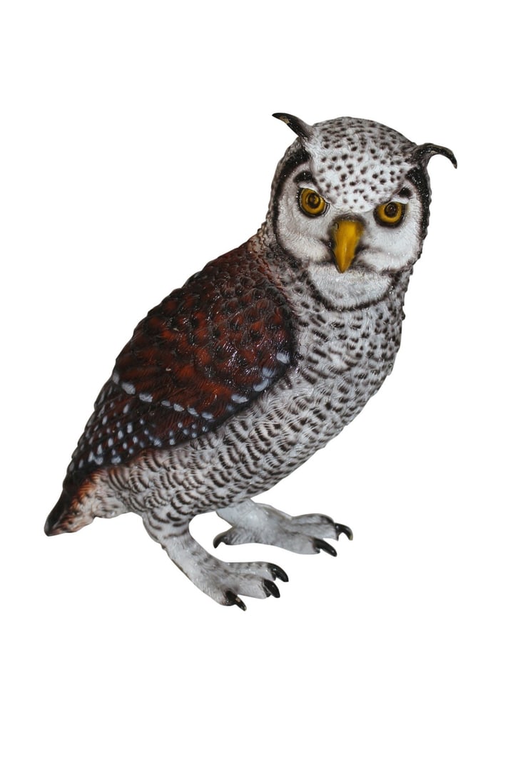 Owl Bronze Statue - Size: 12"L x 6"W x 12"H. (1 of 12)