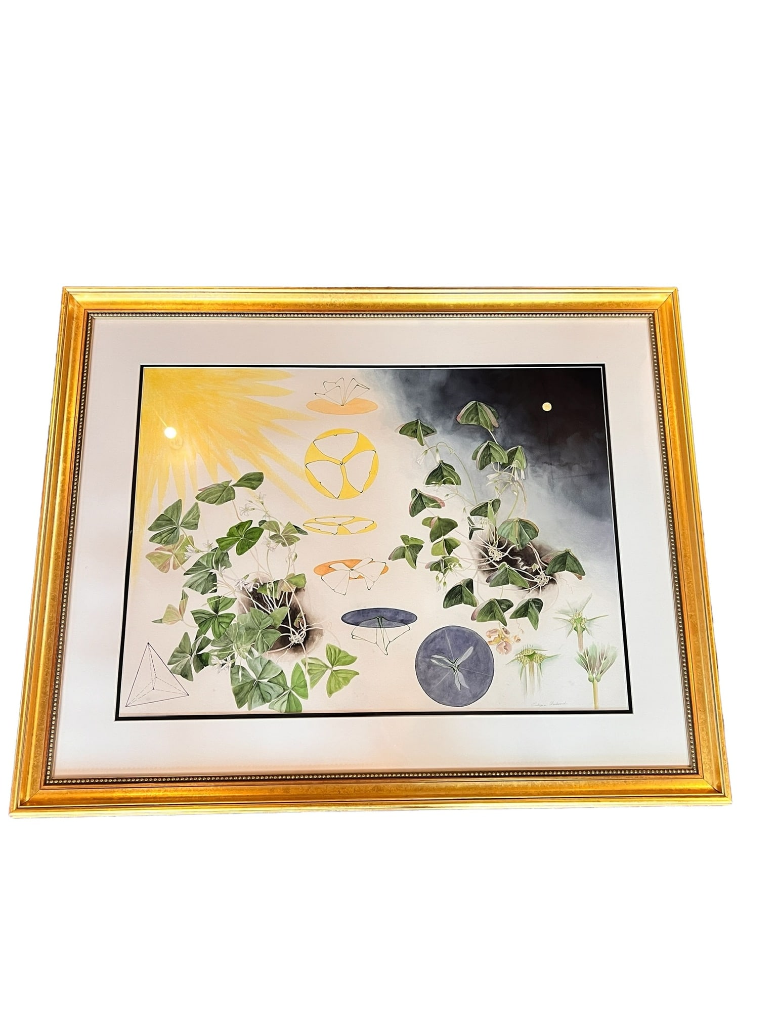 ART OF EUDOXIA WOODWARD: The art of Eudoxia Woodward (B.1919 NY-D.2008 Belmont MA) American artist and Chemistry Researcher, exemplified the unity Eudoxia found within Art & Science. Frame/Art measures 39.75 inches wide by 32