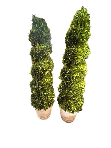 PAIR OF MODERN FAUX BOXWOOD TOPIARIES: Pair of boxwood topiaries, modern. Topiaries are in as found condition with loose and missing greens and one pot is detached from the Styrofoam base. Slightly misshapen. 21st century. Please review al