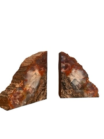 Pair of Petrified Wood Bookends (1 of 5)