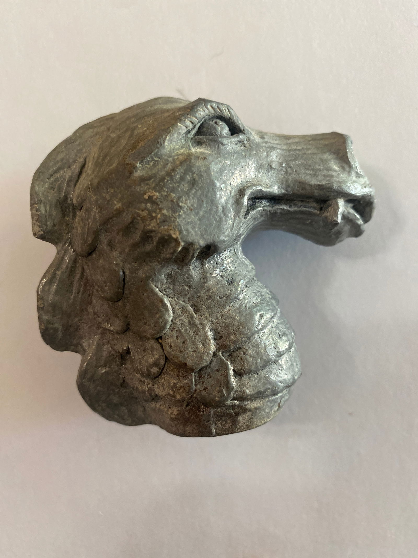 Antique Cast Iron Dragon Head Cane (1 of 3)