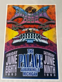 Vintage Grateful Dead 1993 Concert Poster