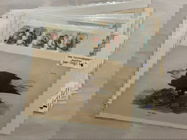 Antique 19th Century Bird Ornithology Lithograph Lot (14)