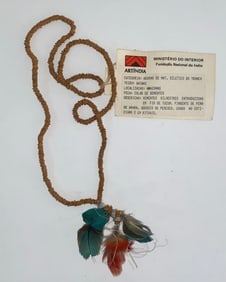 Vintage Amazon Brazil Waiwai Tribe Seed Blue Macaw Feather Blue Macaw Necklace