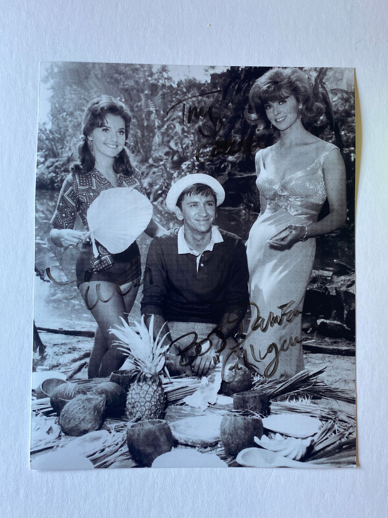 Giligans Island Cast Signed Photo (1 of 4)
