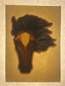 Vintage Don Russ Iron On T Shirt Decal  (100)