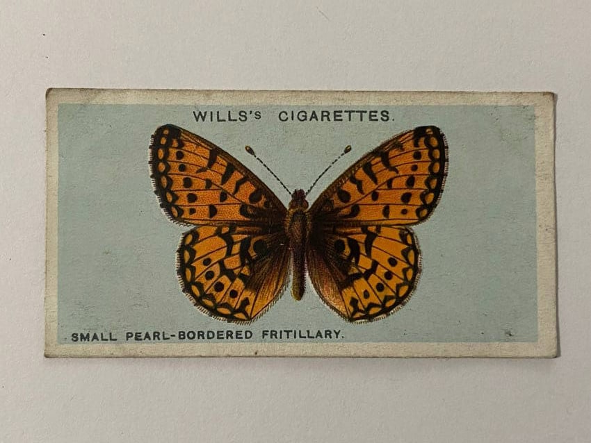 1927 Will's Cigarettes Card Pearl Bordered Fritallary Butterfly