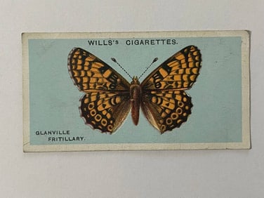 1927 Will's Cigarettes Card Glanville Fritallary butterfly