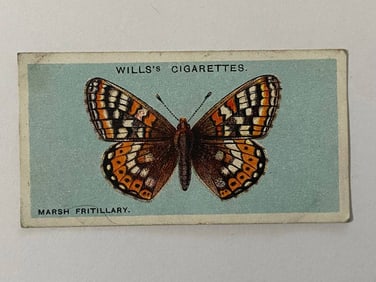 1927 Will's Cigarettes Card Marsh Fritallary Butterfly