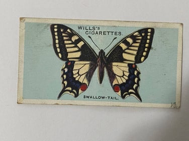 1927 Will's Cigarettes Card Butterfly Shallow Tail
