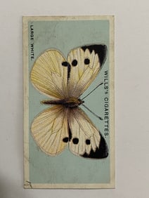 1927 Will's Cigarettes Card Butterfly Large White