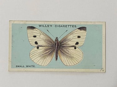 1927 Will's Cigarettes Card Butterfly Small White