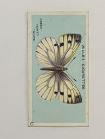 1927 Will's Cigarettes Card Butterfly Green Veined White