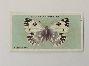 1927 Will's Cigarettes Card Butterfly Bath White