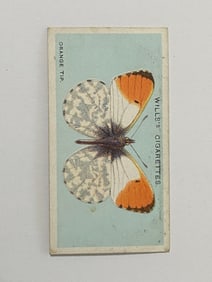 1927 Will's Cigarettes Card Butterfly Orange Tip