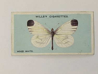 1927 Will's Cigarettes Card Butterfly Wood WHite