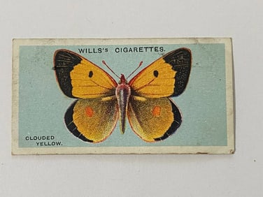 1927 Will's Cigarettes Card Butterfly Clouded Yellow