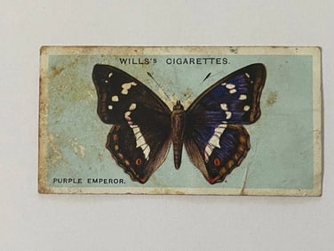 1927 Will's Cigarettes Card Butterfly Purple Emperror