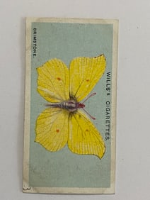1927 Will's Cigarettes Card Butterfly Brimstone