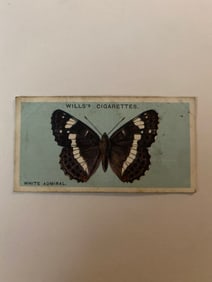 1927 Will's Cigarettes Card Butterfly White Admiral