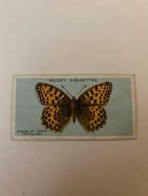 1927 Will's Cigarettes Card Butterfly Queen of Spain Fritillary