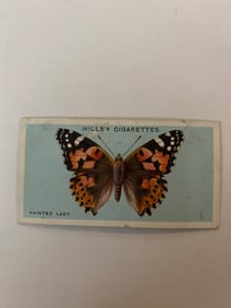1927 Will's Cigarettes Card Butterfly Painted Lady