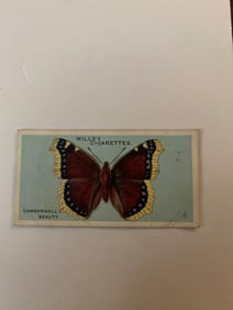 1927 Will's Cigarettes Card Butterfly Camberwell Beauty