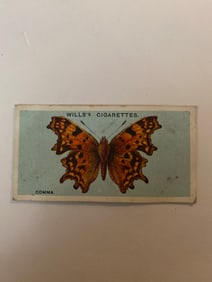 1927 Will's Cigarettes Card Butterfly Comma