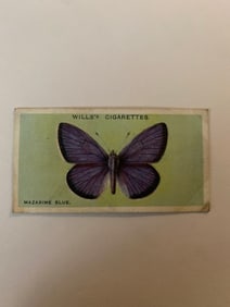 1927 Will's Cigarettes Card Butterfly Mazarine Blue