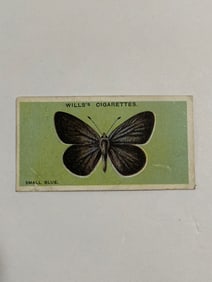 1927 Will's Cigarettes Card Butterfly Small Blue