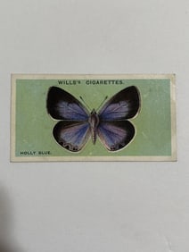 1927 Will's Cigarettes Card Butterfly Holly blue
