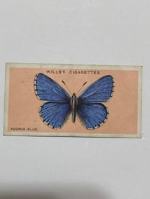 1927 Will's Cigarettes Card Butterfly Adonis Blue