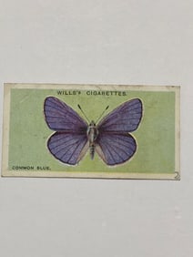 1927 Will's Cigarettes Card Butterfly Common Blue