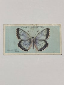 1927 Will's Cigarettes Card Butterfly Chalk Hill Blue