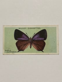 1927 Will's Cigarettes Card Butterfly Purple Hairstreak