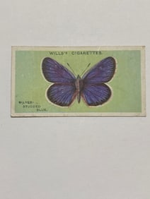 1927 Will's Cigarettes Card Butterfly Silver Studded Blue