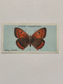 1927 Will's Cigarettes Card Butterfly Small Copper