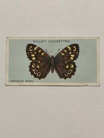 1927 Will's Cigarettes Card Butterfly Speckled Wood