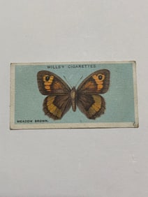 1927 Will's Cigarettes Card Butterfly Meadow Brown