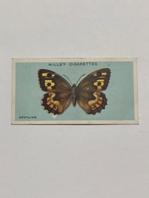 1927 Will's Cigarettes Card Butterfly Grayling