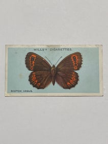 1927 Will's Cigarettes Card Butterfly Scotch Argus
