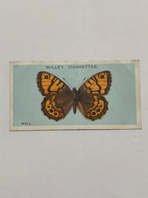 1927 Will's Cigarettes Card Butterfly Wall